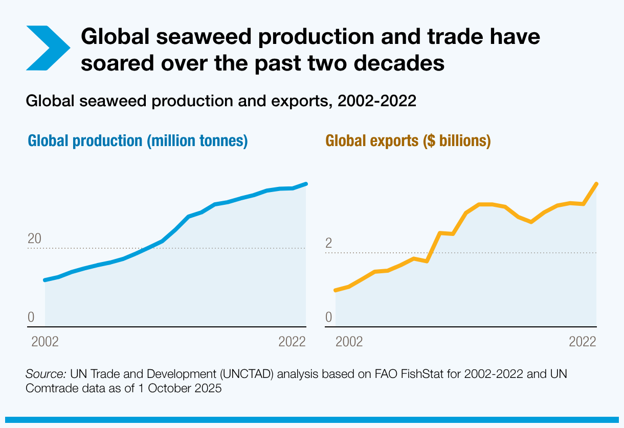 Global seaweed production and trade have soared over the past two decades
