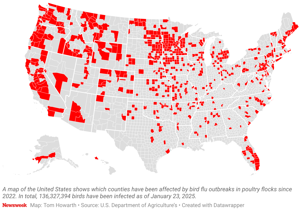 Bird Flu: Updated Map Reveals Where Virus Is Thriving - Newsweek