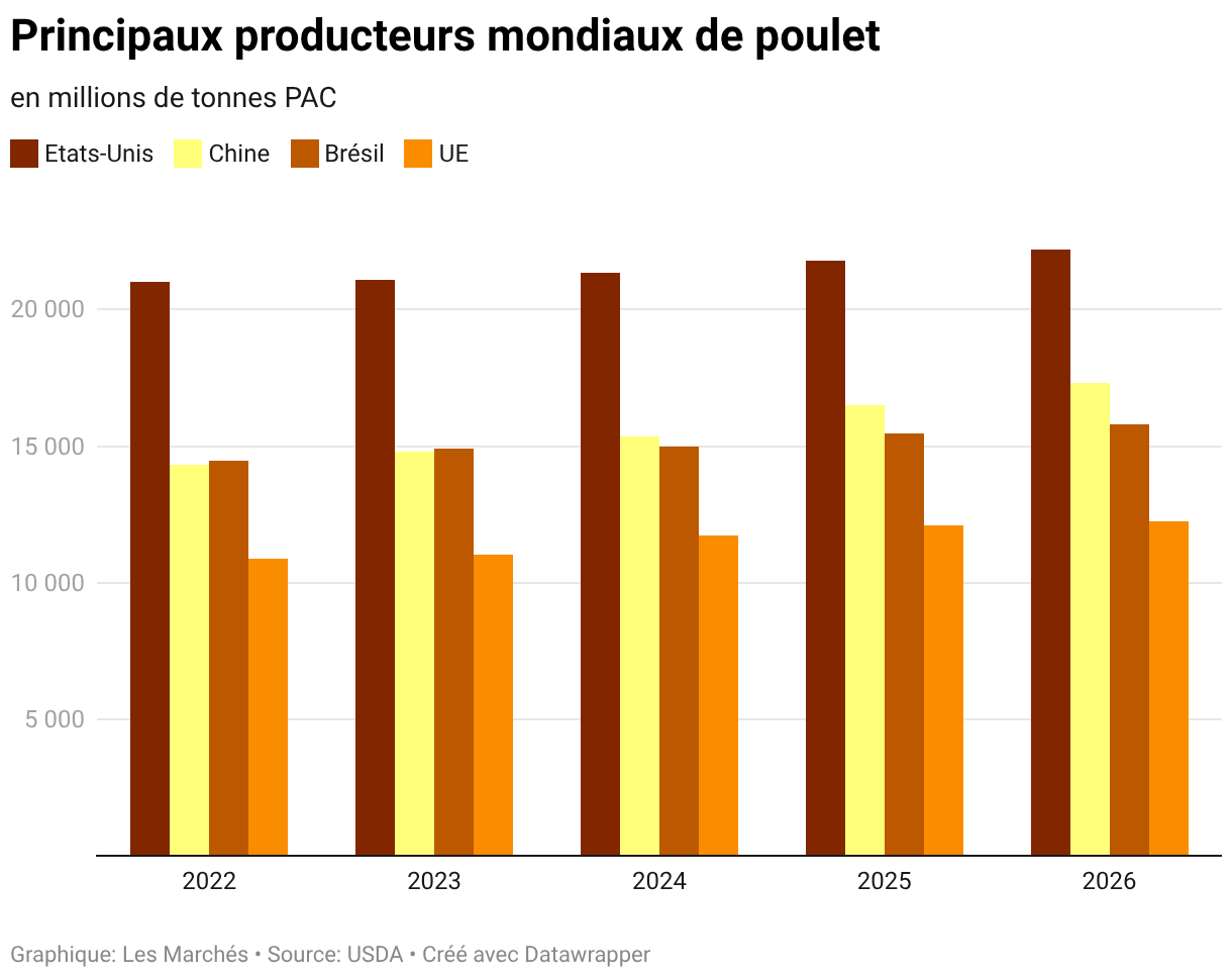 Principaux producteurs mondiaux de poulet (Colonnes groupées)