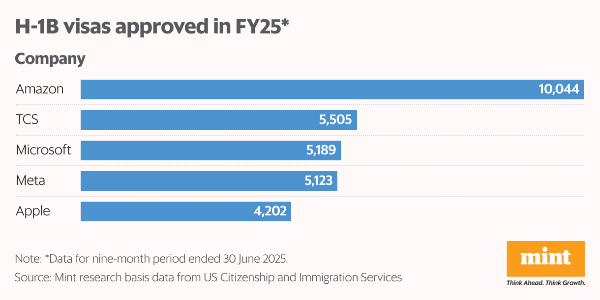 H-1B visas approved in FY25* (Bar Chart)