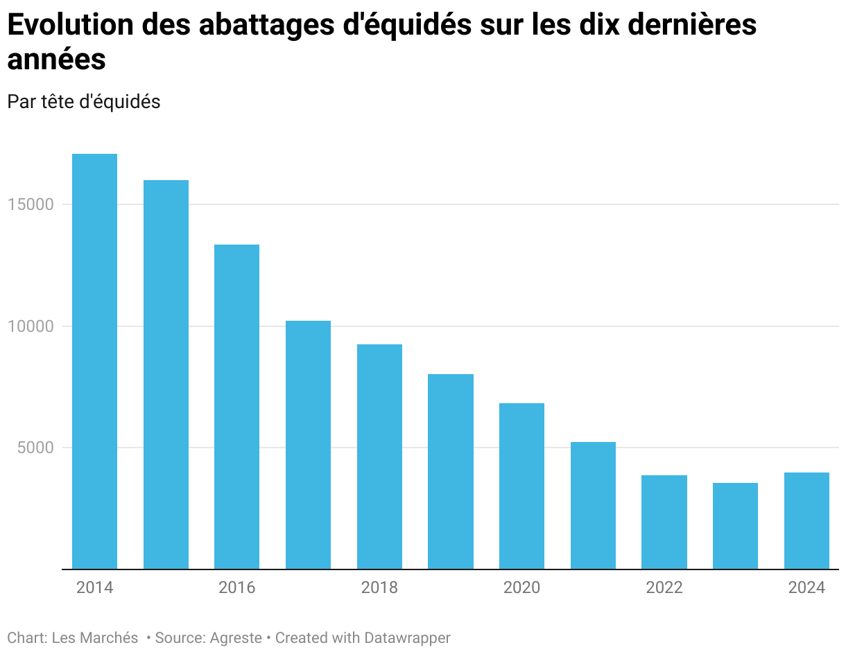 Evolution des abattages d'équidés (Column Chart)