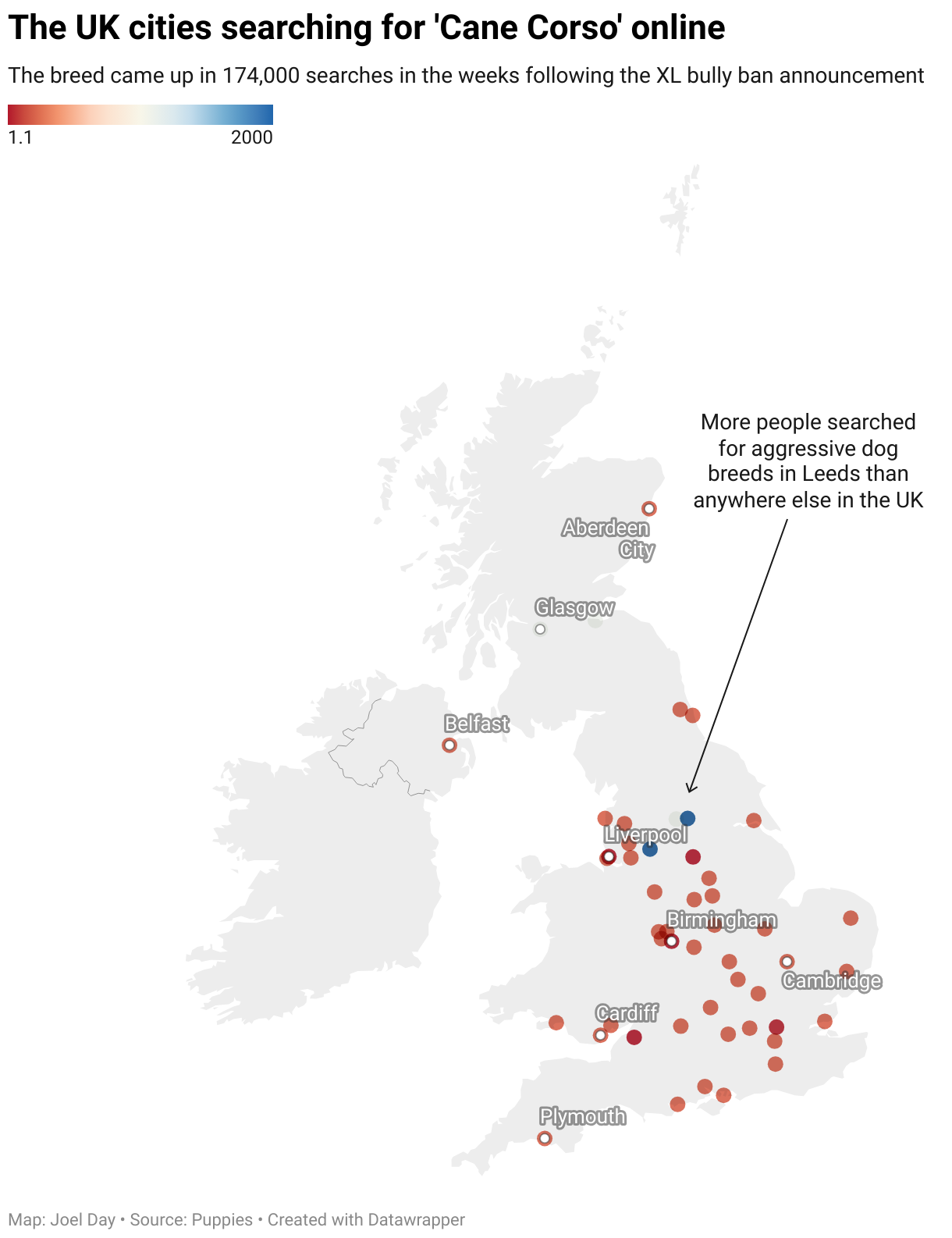 A map showing what cities around the UK searched for Cane Corso in the weeks after the XL Bully ban.