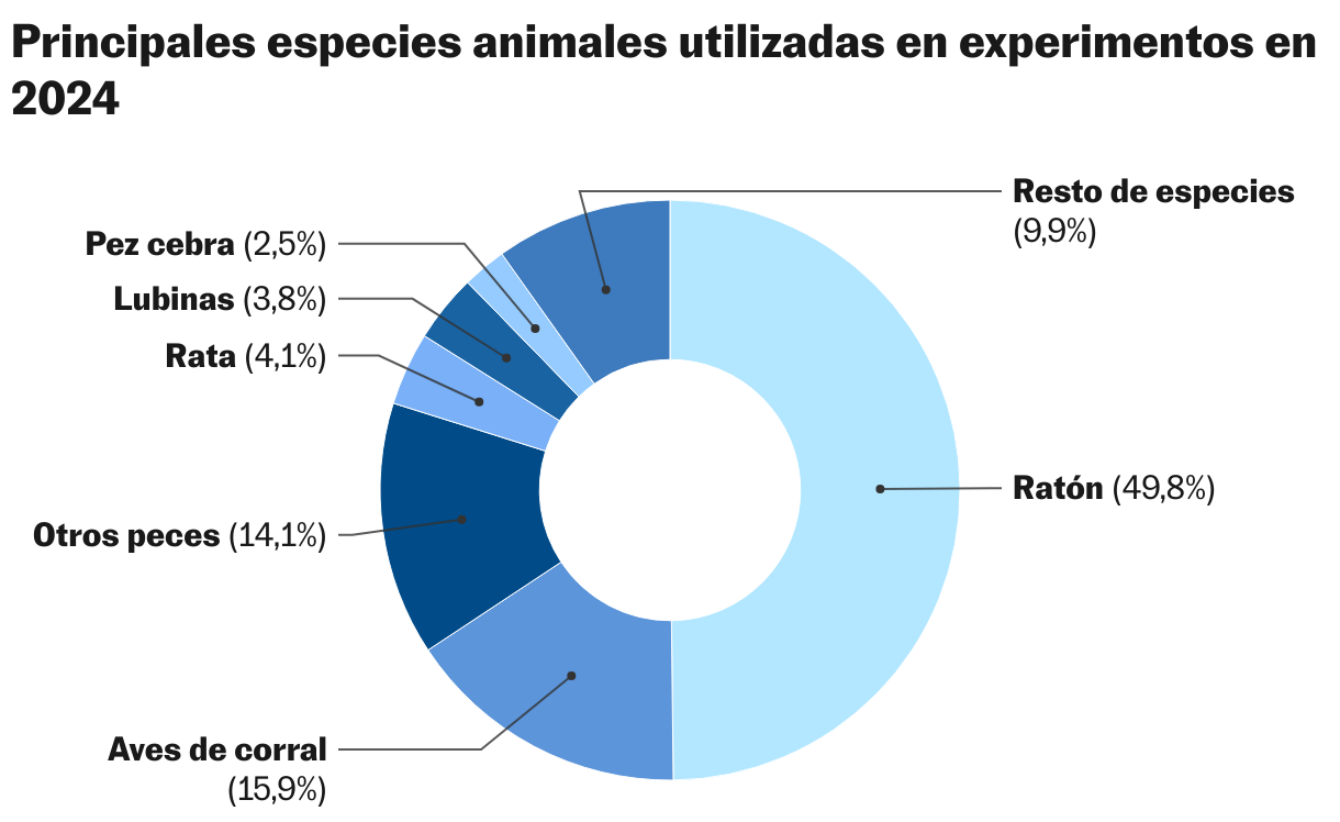 Principales especies animales utilizadas en experimentos en 2024 (Gráfico de anillo)