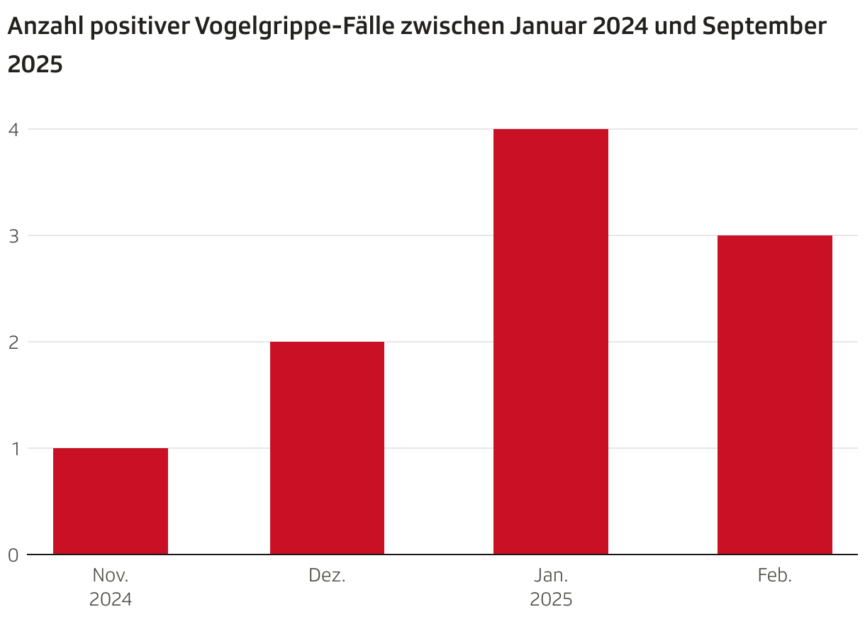 Anzahl positiver Vogelgrippe-Fälle zwischen Januar 2024 und September 2025 (Säulen)