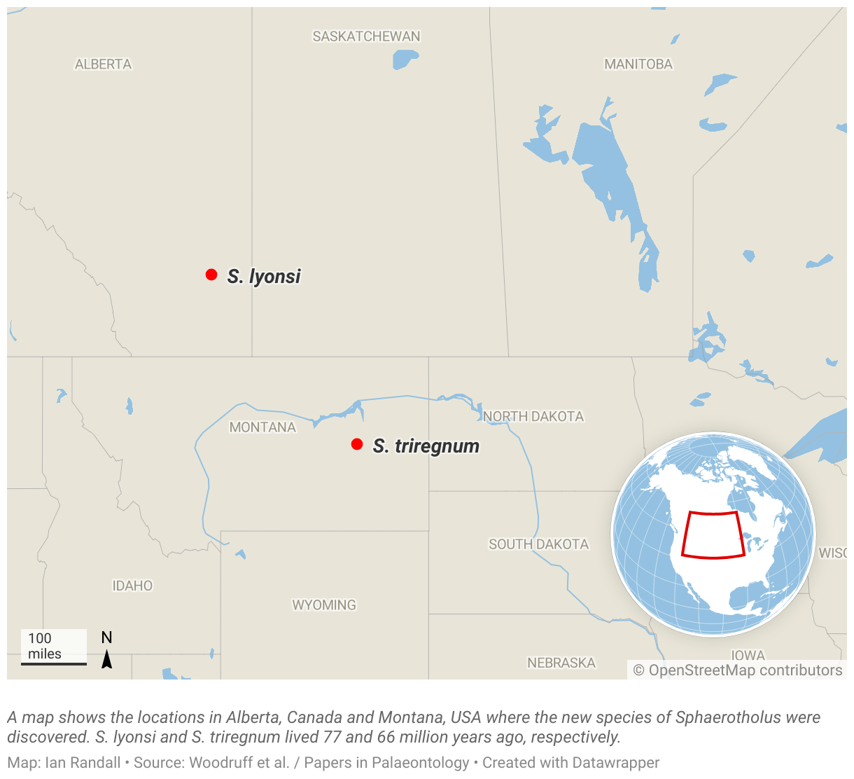 A map shows the locations in Alberta, Canada and Montana, USA where the new species of Sphaerotholus were discovered.