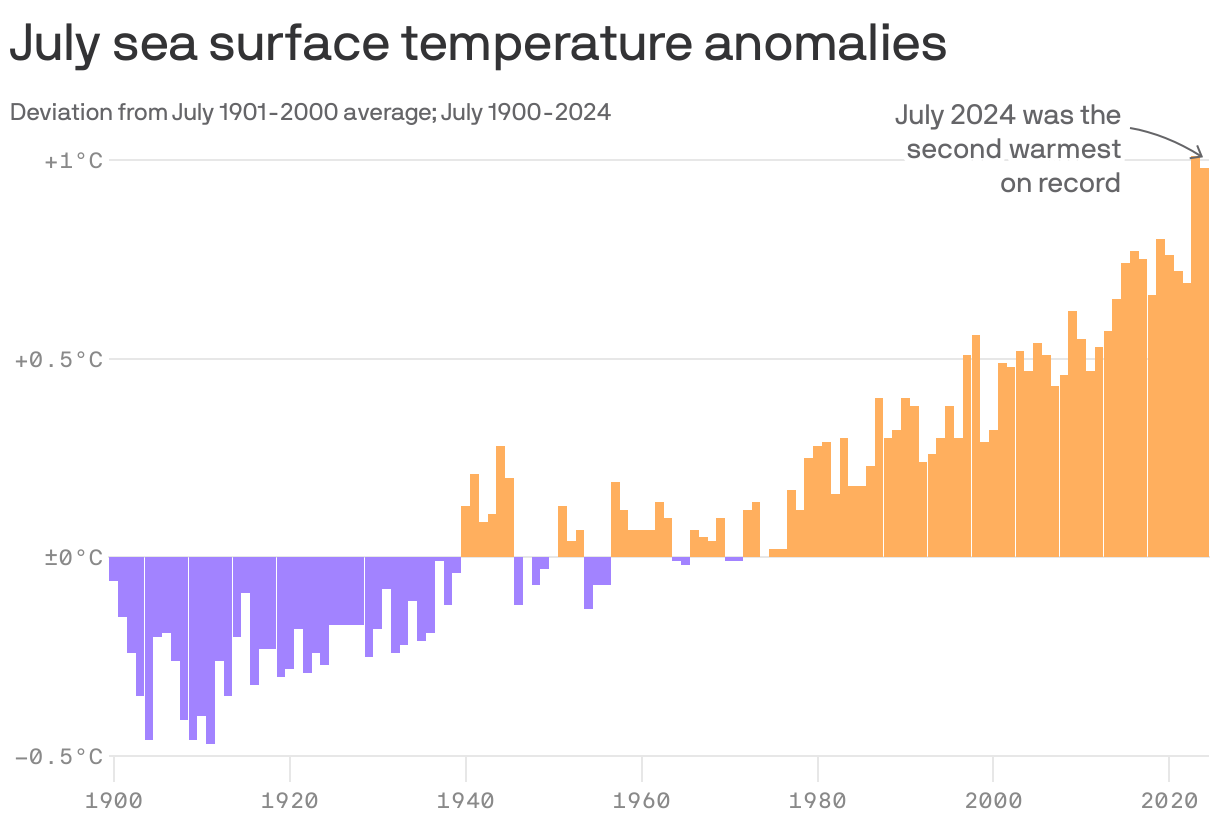A column chart showing July sea surface temperature deviations from the 1901-2000 average for Julys 1900 to 2024.  The two warmest years were 2023, at +1.01°C, and 2024, at +0.98°C