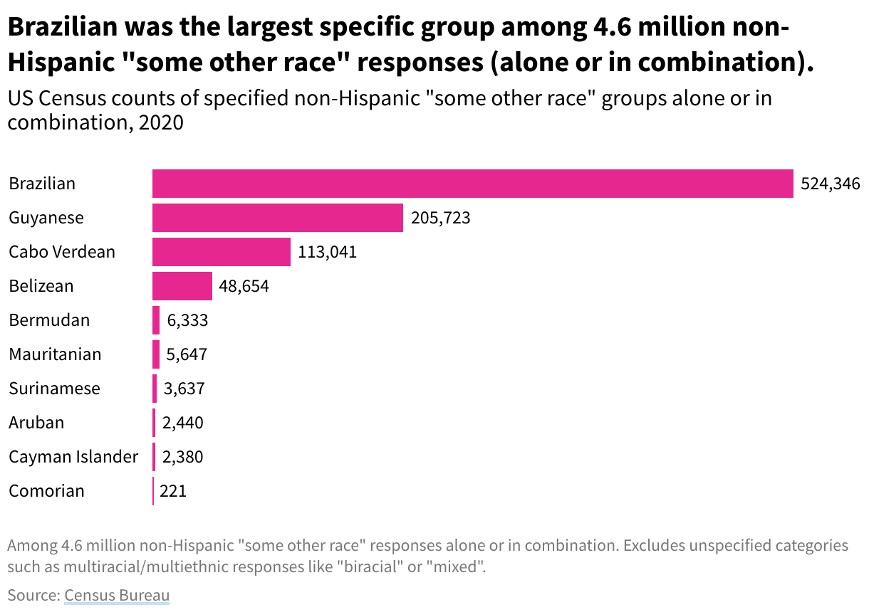 A bar chart showing the largest specified non-Hispanic group in the "some other race" category. Brazilian, Guyanese, and Cabo Verdean are the three largest.